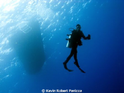 Unusual angle of a diver on a safety stop in Kona Hawaii
... by Kevin Robert Panizza 